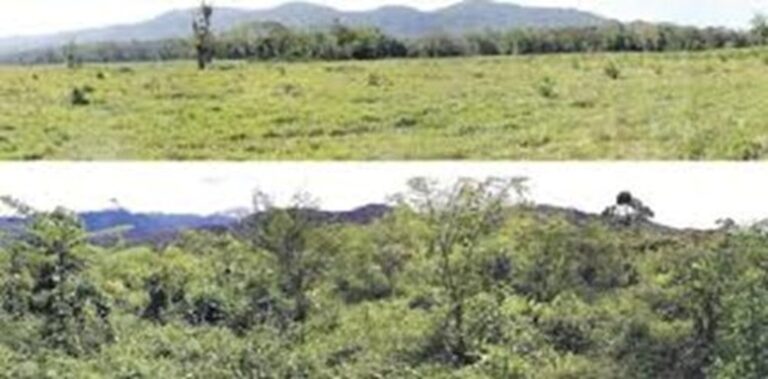 57. exemplo: Capítulo 5 – Fazer Mais Com Menos – Responsabilidade Ambiental – Áreas de Bota-fora da Mineração – Itajaí – SC – 05/02/2026